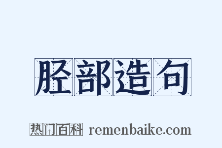 胫部造句是什么意思的图片